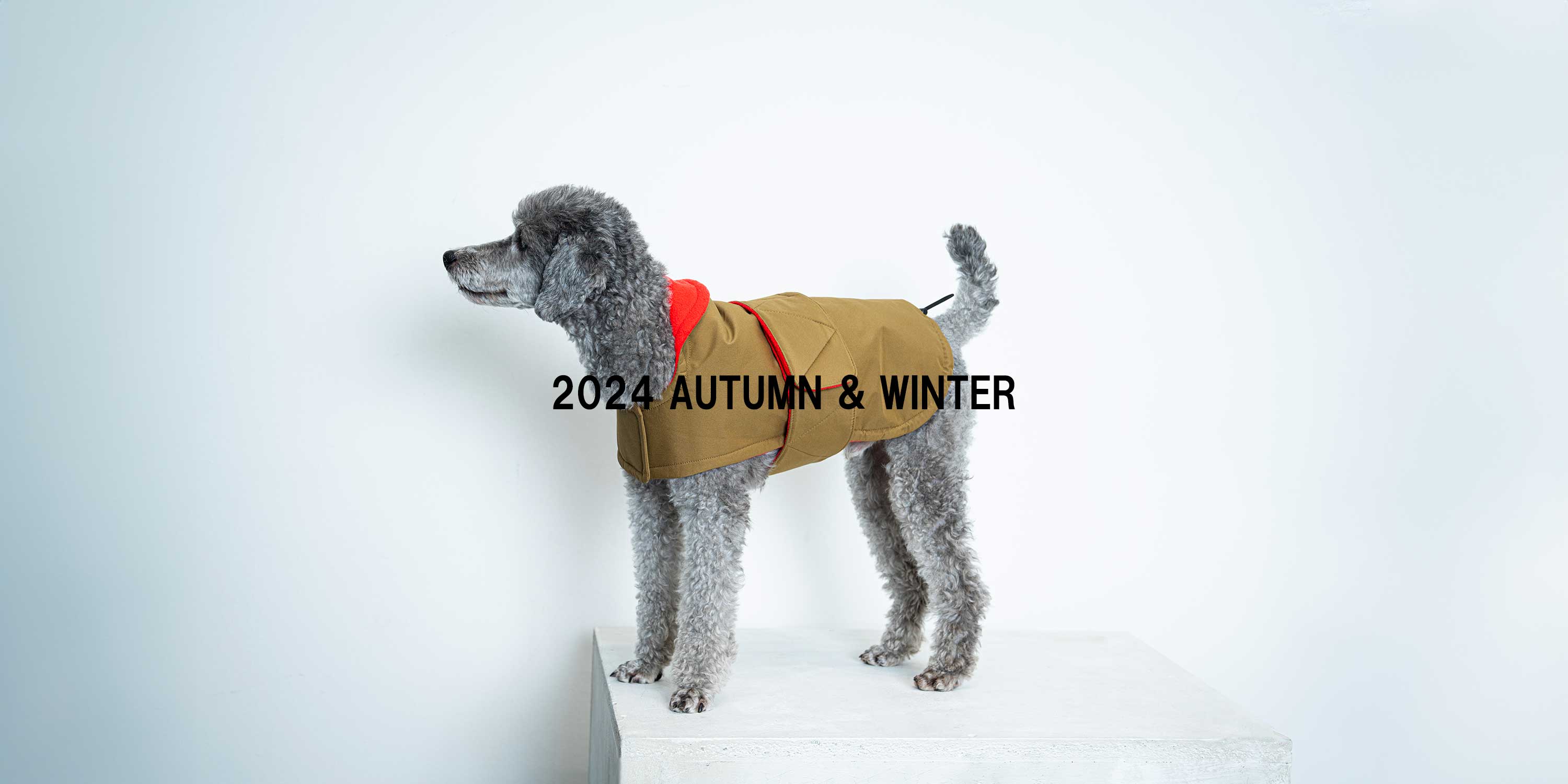 2024 autumn　winter